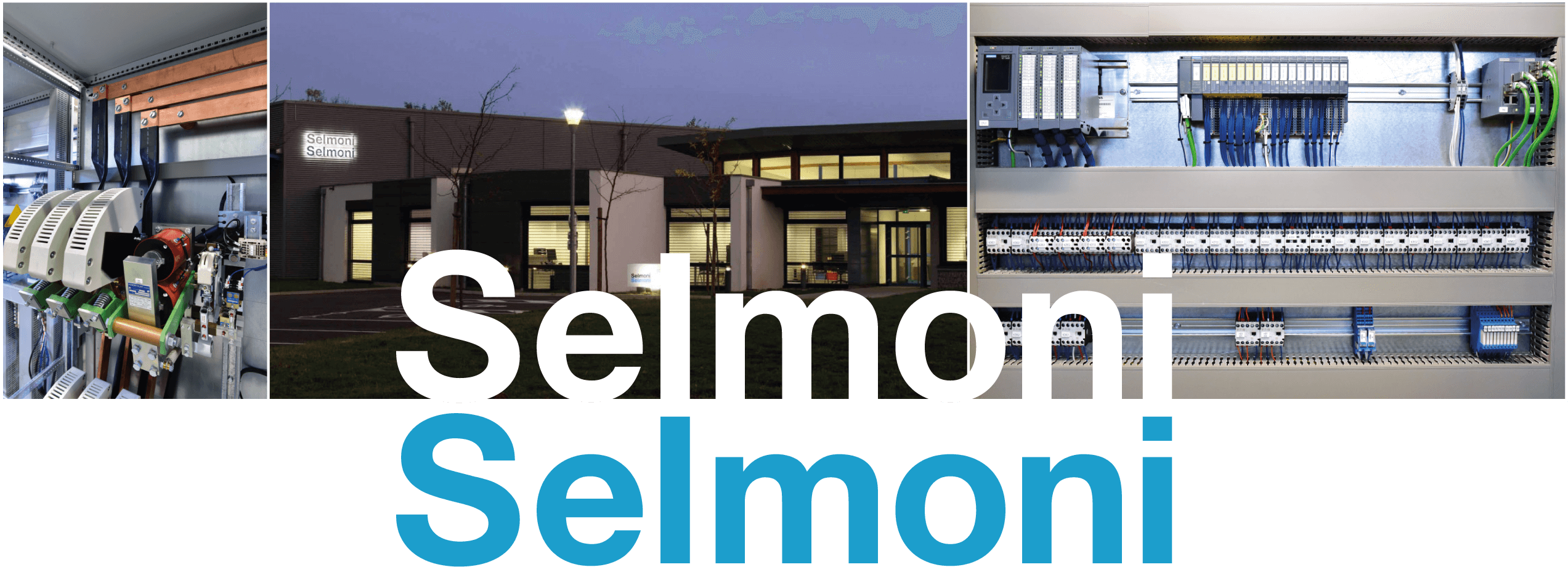 selmoni